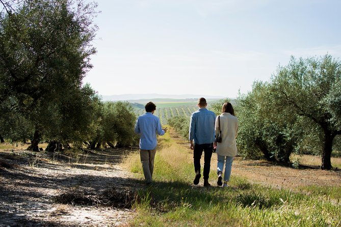 cordoba-olive-oil-mill-wine-passion
