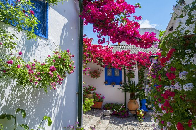 cordobas-authentic-patios-2-hour-tour-with-tickets