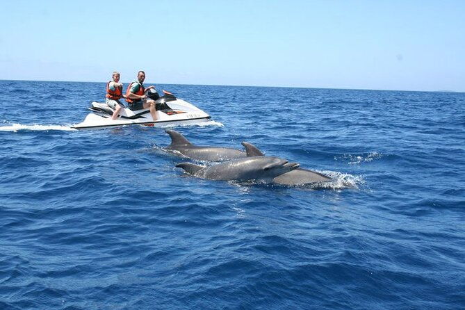 crab-island-dolphin-jetski-adventure