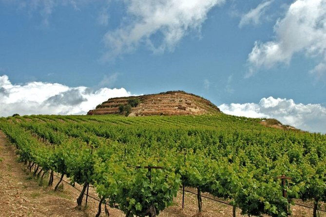 crete-wine-and-olive-oil-tour
