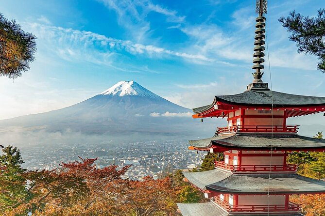 customizable-private-tour-in-mt-fuji-from-tokyo-by-car-or-van