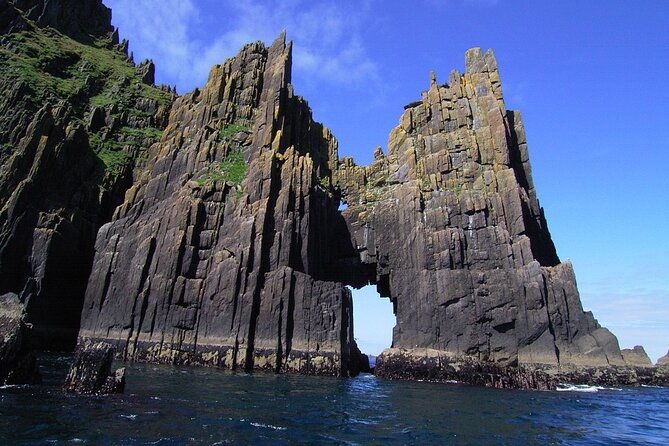 dingle-boat-tours-wildlife-rib-adventure