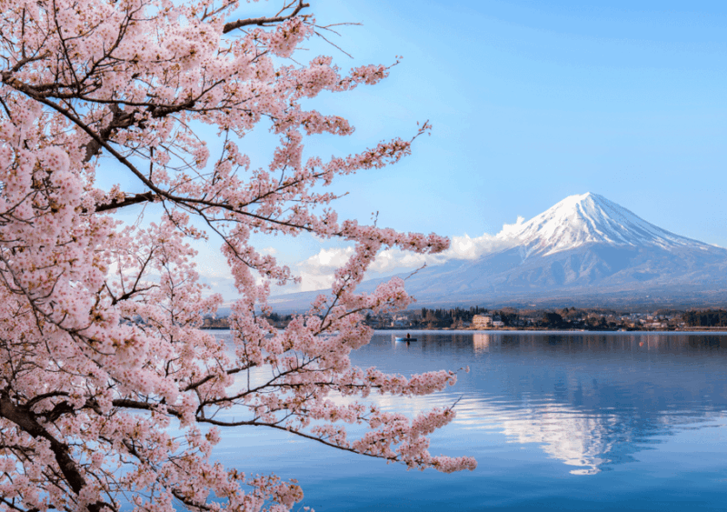 discover-mount-fuji-private-car-van-day-tour-from-tokyo