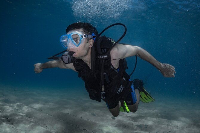 discover-padi-diving-in-barcelona