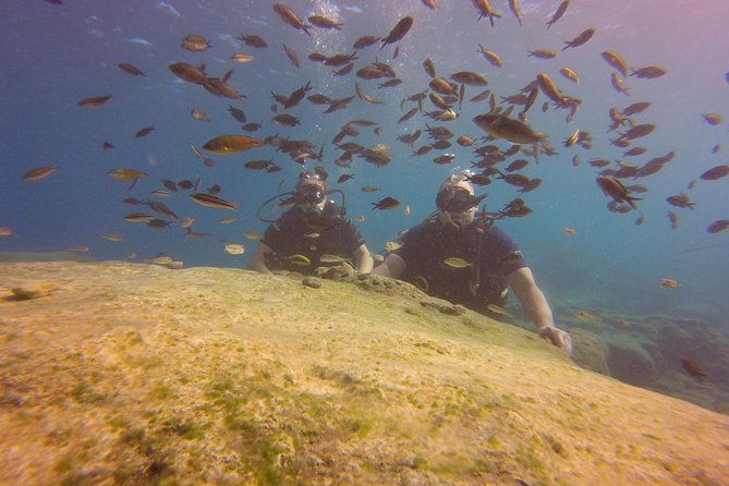 discover-scuba-diving-2