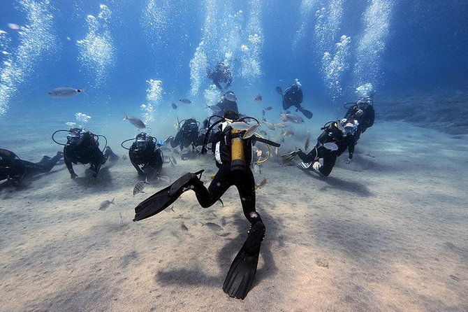 discover-scuba-diving-3
