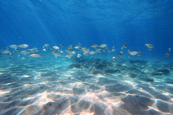 discover-scuba-diving-in-costa-calma