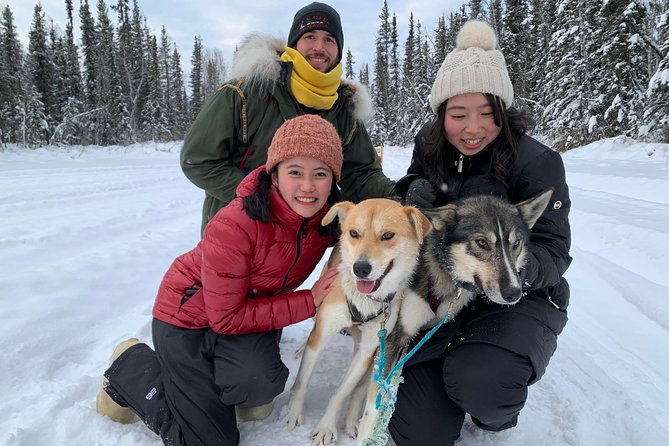 dog-sledding-and-mushing-experience-in-north-pole