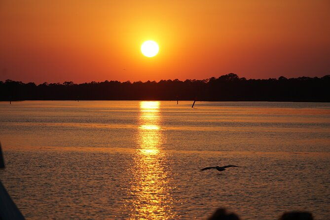 dolphin-and-nature-sunset-cruise-from-orange-beach