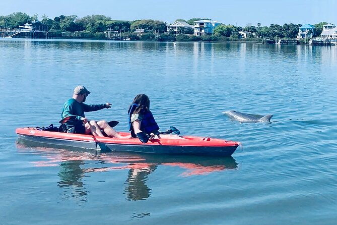 dolphin-manatee-and-seaturtle-sup-adventure-tour-of-st-augustine