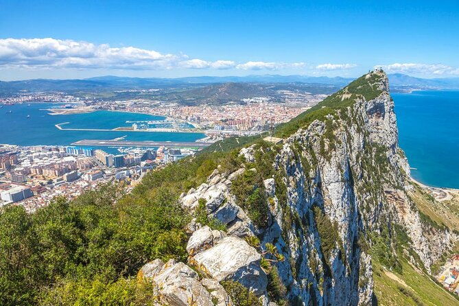 dolphin-watching-excursion-in-gibraltar