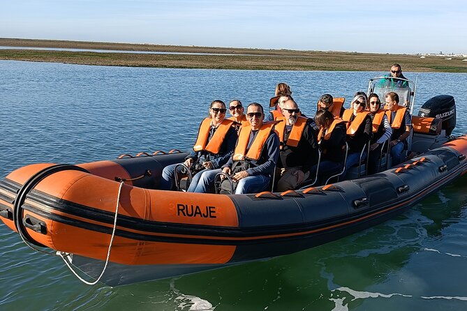dolphin-watching-from-faro