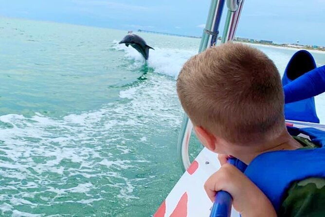 dolphin-watching-speedboat-cruise-in-destin-harbor