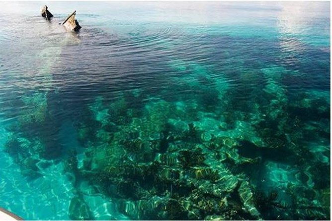 dry-tortugas-national-park-day-trip-by-catamaran-from-key-west
