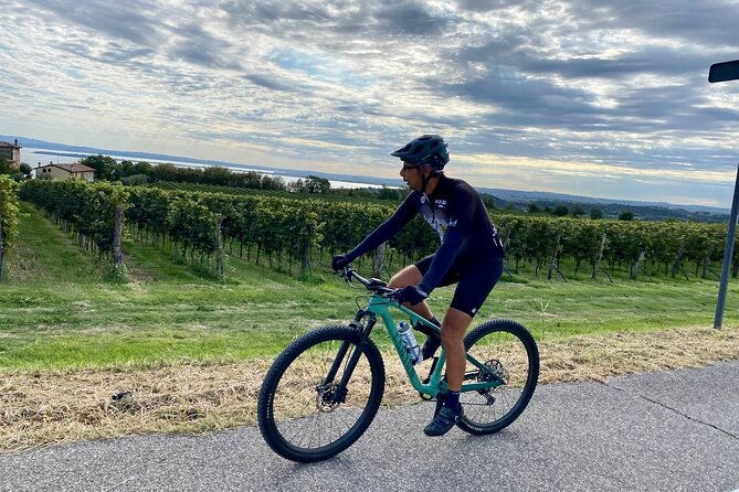 e-bike-tour-and-wine-tasting-from-desenzano-inland