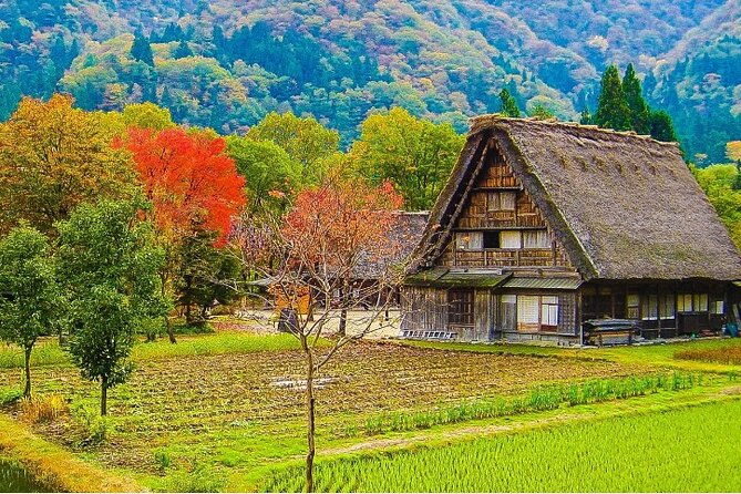 %e3%80%90private-tour%e3%80%91shirakawa-go-takayama-1-day-tour-from-nagoya