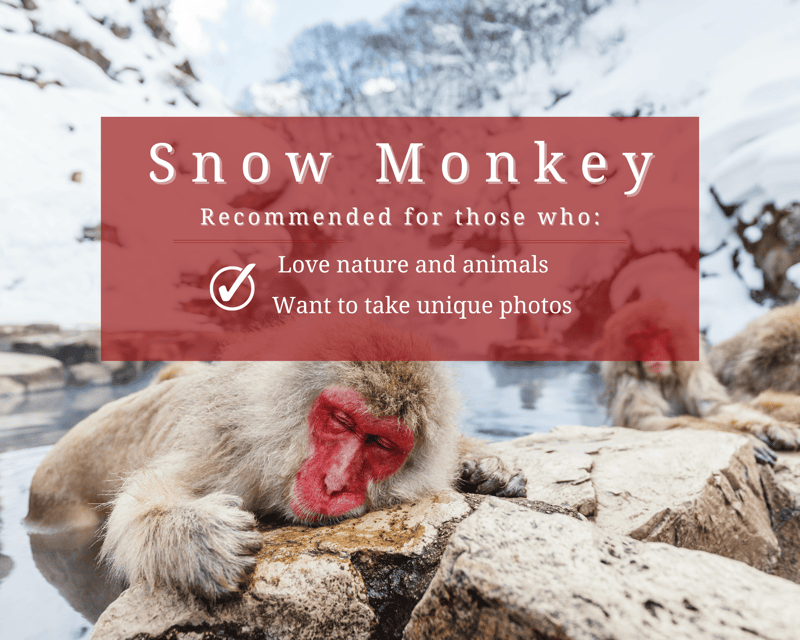 %e3%80%90private%e3%80%91snow-monkey-parkzenkoji-temple-from-nagano-myoko