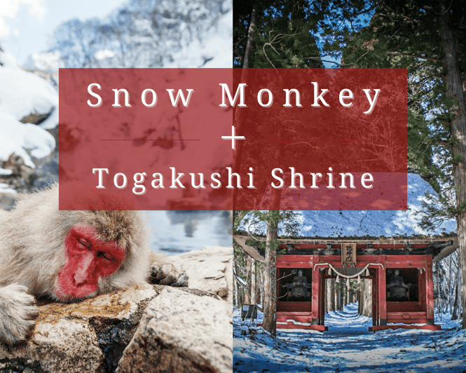 %e3%80%90private%e3%80%91snow-monkey-togakushi-shrine-from-nagano-myoko