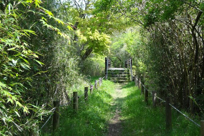 easygoing-nature-walk-in-hakone-tour