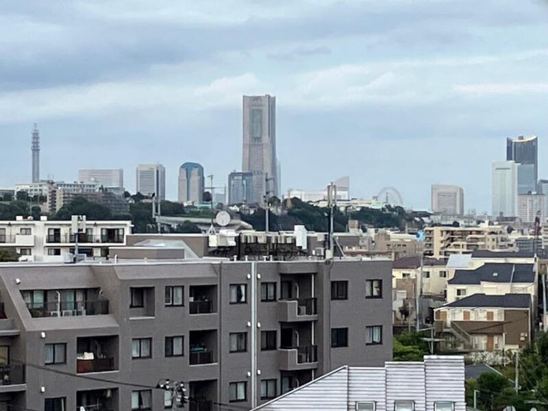 eat-like-a-local-in-yokohama-with-a-local-expert-guide