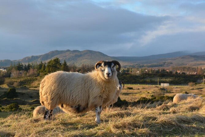 edinburgh-loch-ness-inverness-the-highlands-2-day-tour