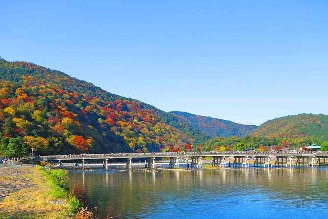 enjoy-kyoto-in-style-with-a-minivan-guide