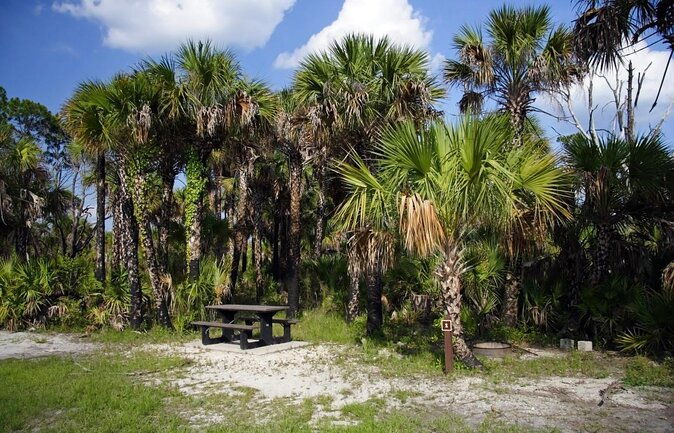 everglades-day-safari-from-ft-lauderdale