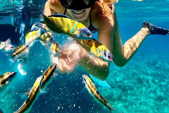 exclusive-boat-tour-for-up-to-9-people-beautiful-tropea