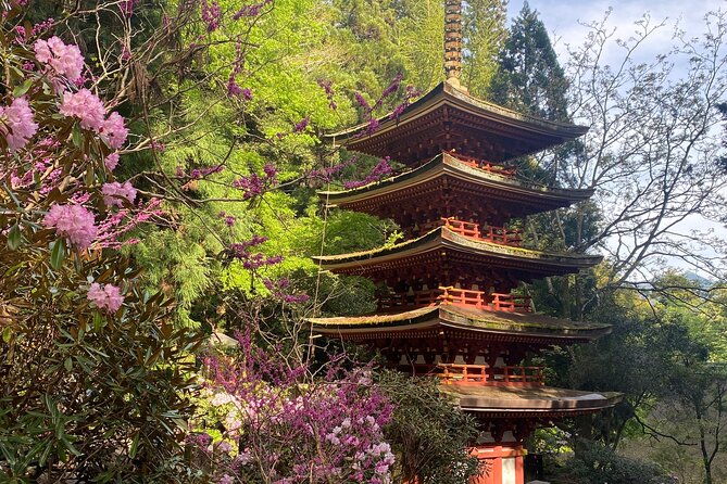 exclusive-luxury-day-tours-serene-nara