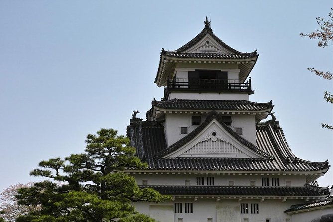 experience-the-energy-of-kochi-sunday-market-tour-includes-kochi-castle