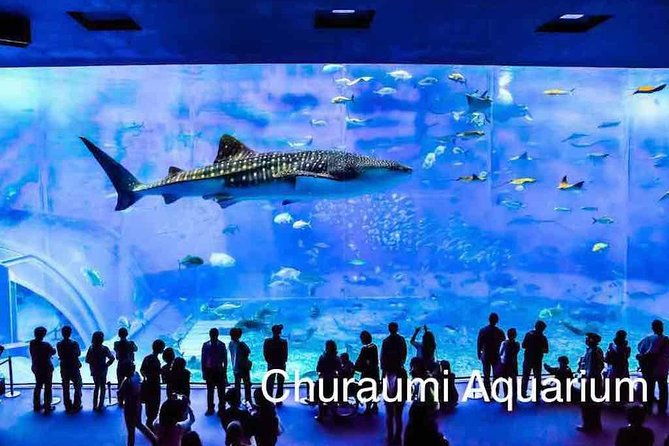 explore-okinawa-with-private-sedan-car-hire-driver