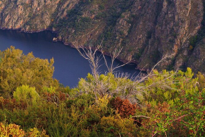 explore-ribeira-sacra-by-boat-unique-excursion-from-santiago
