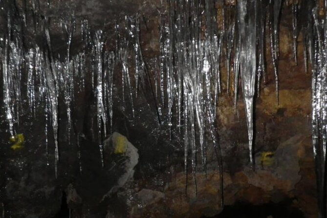 exploring-mt-fuji-ice-cave-and-sea-of-trees-forest