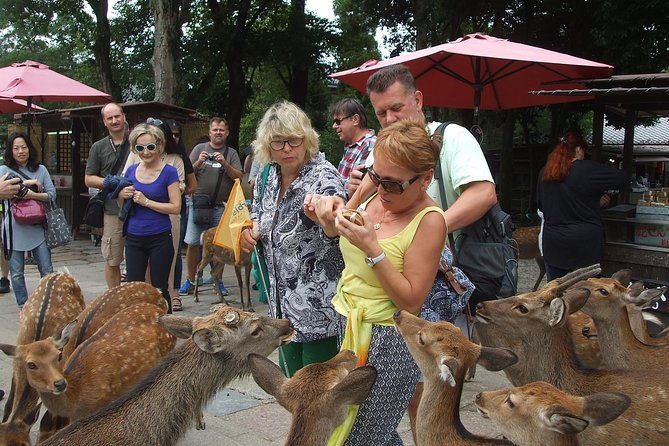 exploring-nara