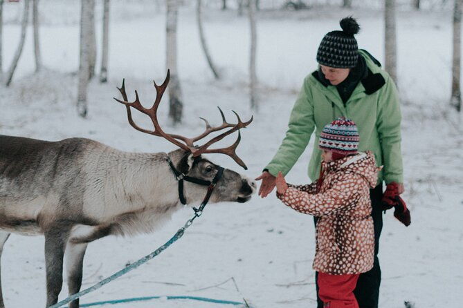 family-day-reindeer-husky-and-snowmobiling-in-levi