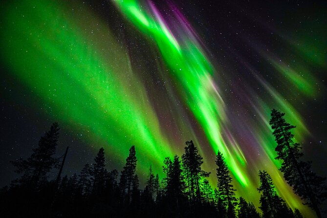 family-friendly-northern-lights-adventure-from-rovaniemi