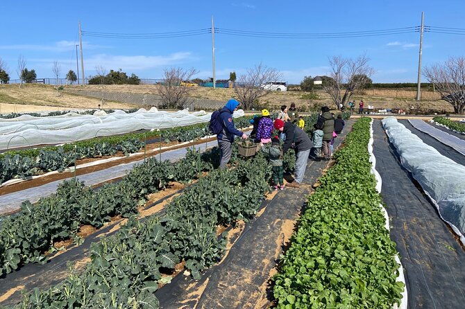farm-to-table-excursion-and-barbecue-with-a-fresh-seafood