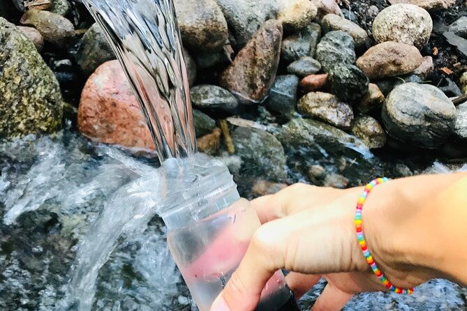forestbathing-and-natural-spring-water-in-stockholm-nature