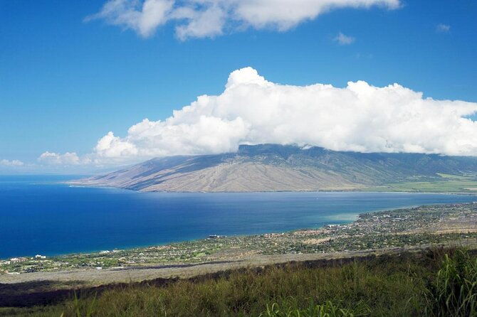 from-maalaea-whale-watching-tour-aboard-the-quicksilver