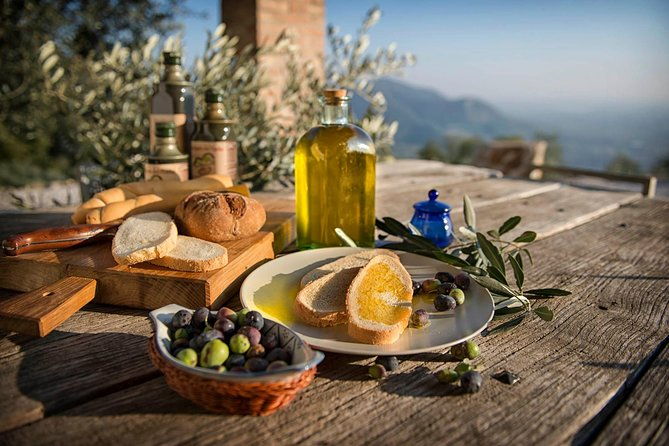 from-padua-olive-oil-wine-in-the-euganean-hills