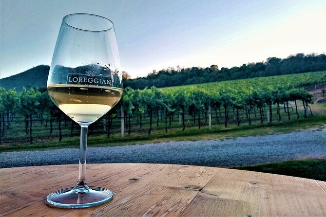 from-padua-wine-tour-in-the-euganean-hills