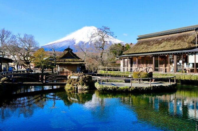from-tokyo-mount-fuji-full-day-private-tour-with-english-guide