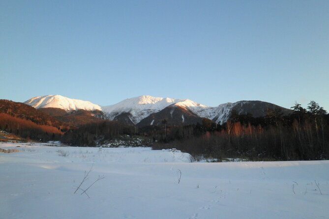 frozen-fall-trekking
