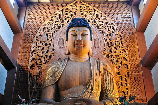 fukuoka-finest-evening-tours-choose-your-adventure