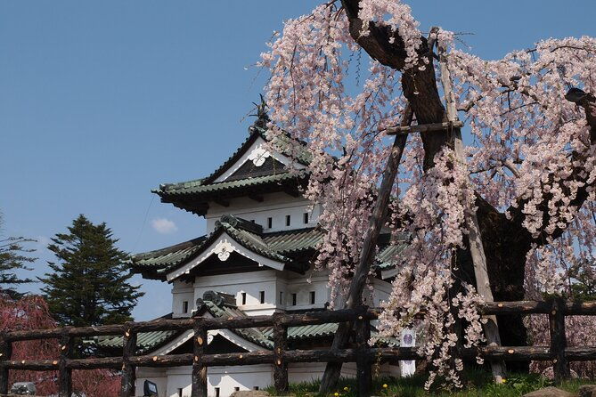 full-day-jomon-world-heritage-site-tour-in-hirosaki-area