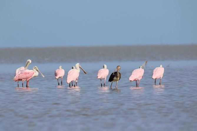 full-day-kayak-adventure-in-the-everglades