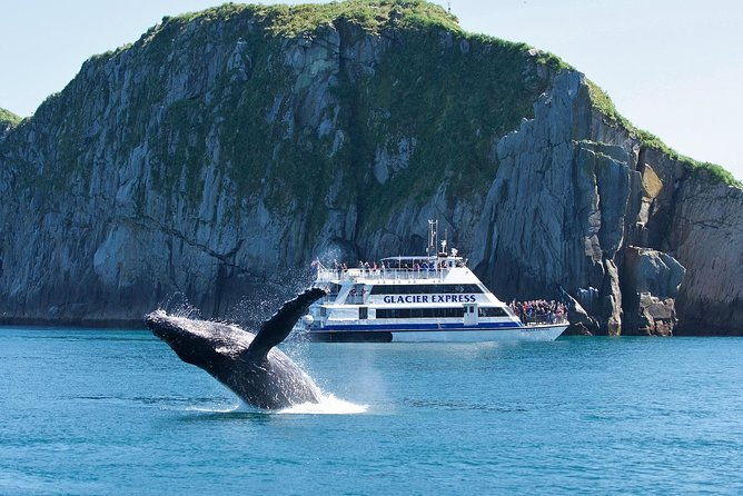 full-day-kenai-fjords-national-park-cruise