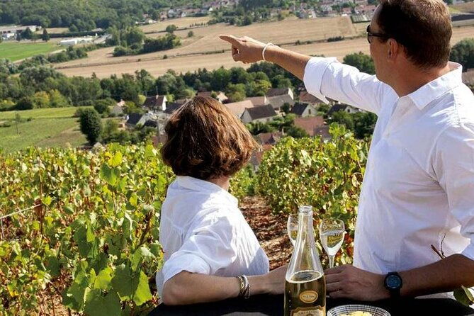 full-day-private-champagne-tasting-in-reims-and-its-vineyards