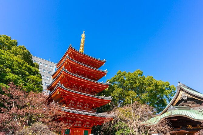 full-day-private-shore-tour-in-fukuoka-from-sasebo-cruise-port