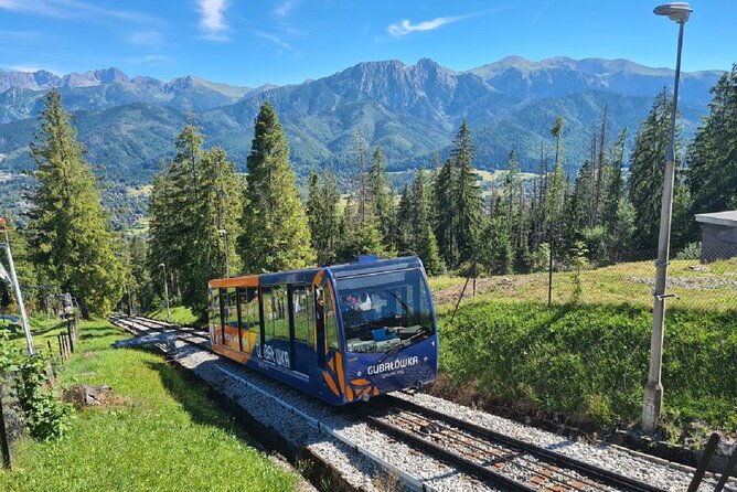 full-day-private-tour-of-slovakia-treetop-walk-and-zakopane